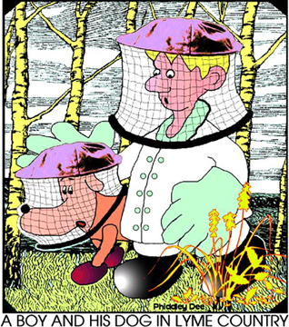 phiddley
